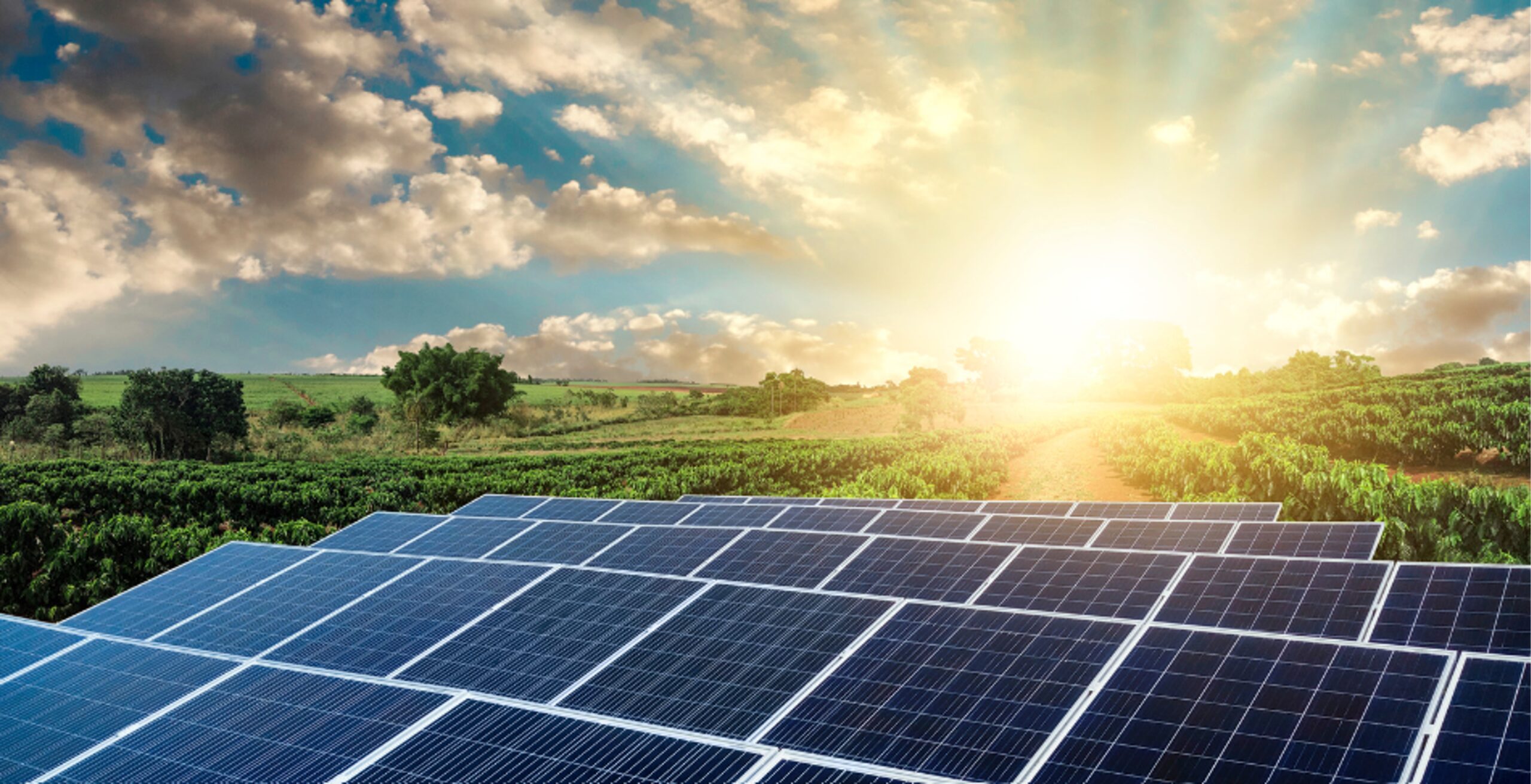 Embracing Solar Energy and Its Influence