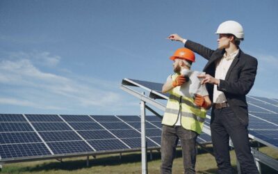 Solar Companies in South Africa: The Diverse Landscape
