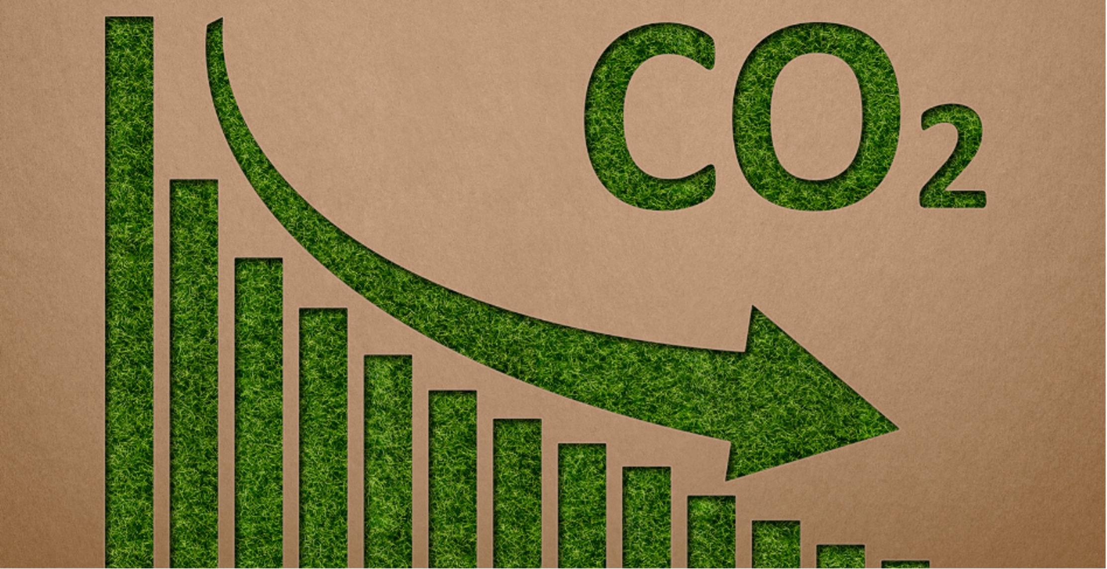 The Ecological and Societal Implications