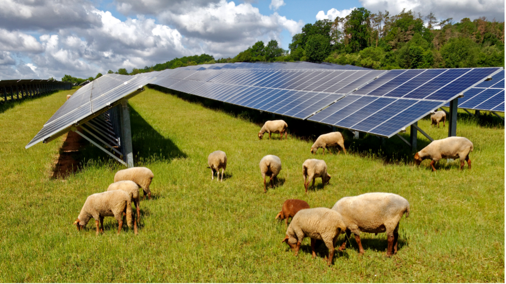 The future of solar power and its potential for growth in the coming years2